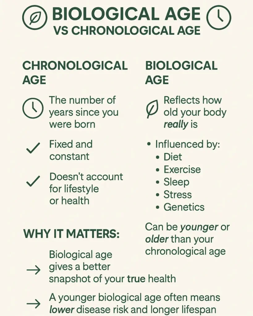 Chronological Age Calculator 